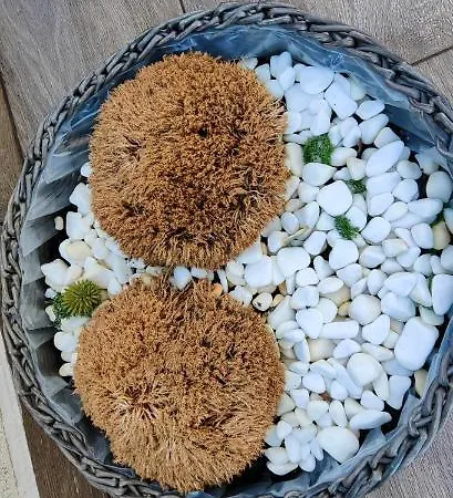 Apartment Luxury Private Parking Self Check-in54 Craiova