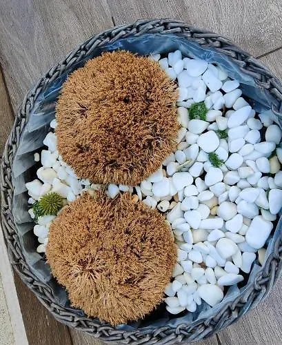 Lägenhet Luxury Private Parking Self Check-in54 Craiova